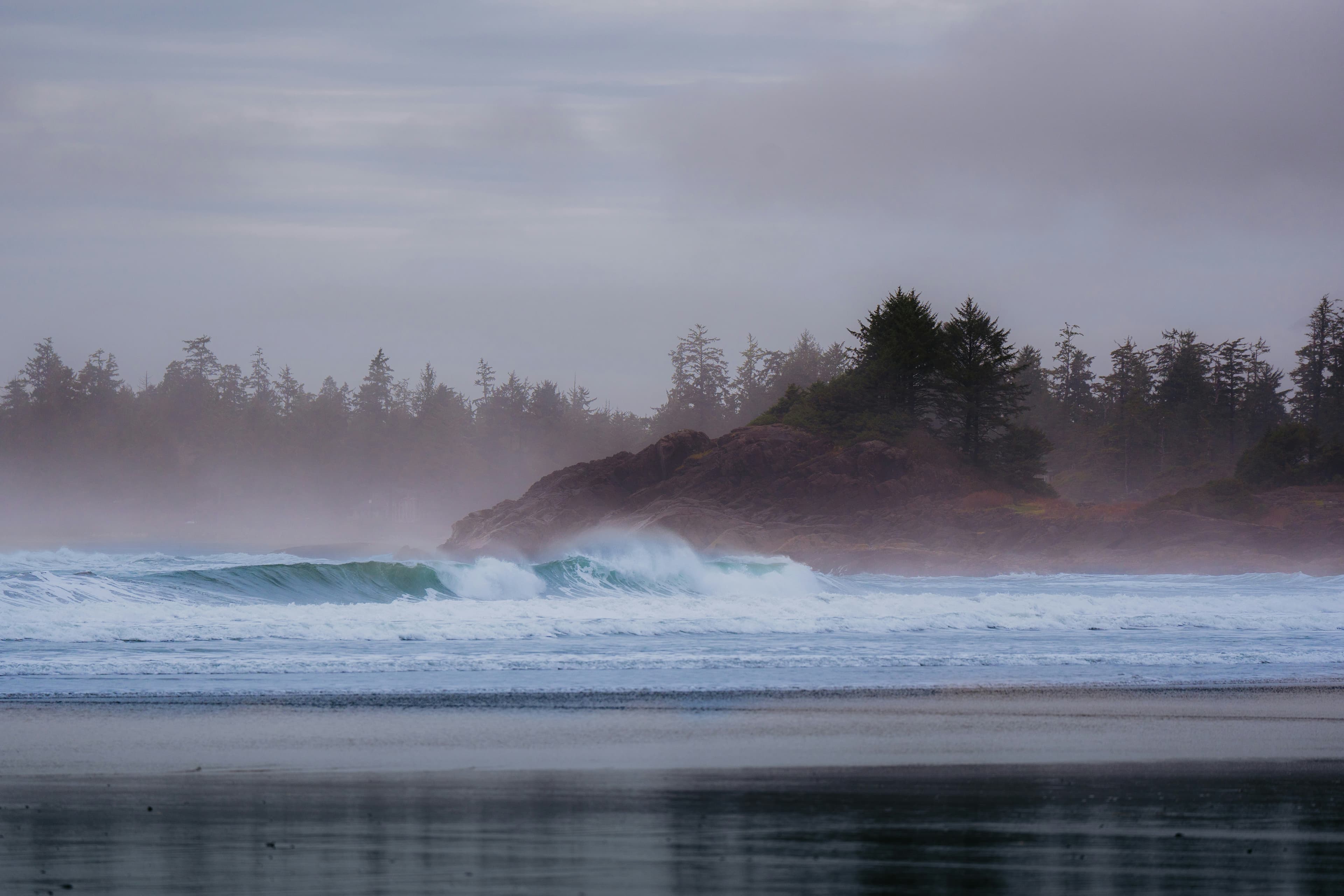 Pacific Northwest coast
